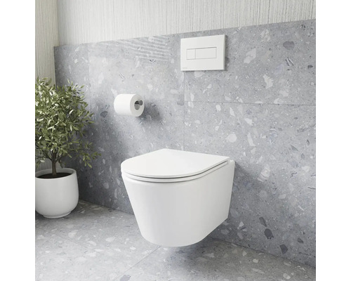Moderná kúpeľňa so závesným WC, splachovacou nádržkou, držiakom toaletného papiera a izbovou rastlinou