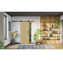 Interiér s posuvným dverovým systémom, knižnicou a izbovými rastlinami pre útulnú atmosféru.