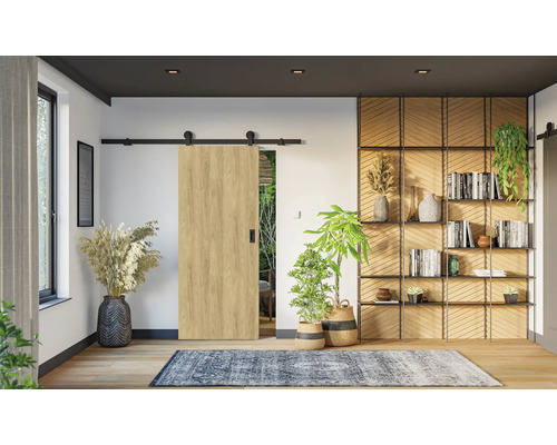 Interiér s posuvným dverovým systémom, knižnicou a izbovými rastlinami pre útulnú atmosféru.