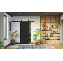 Obývacia izba s čiernymi posuvnými dverami, knižnicou a izbovými rastlinami