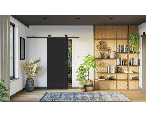 Obývacia izba s čiernymi posuvnými dverami, knižnicou a izbovými rastlinami