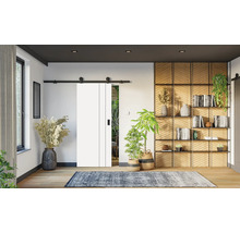 Obývacia izba s posuvnými dverami, knižnicou a dekoráciou