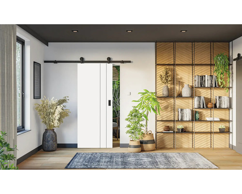 Obývacia izba s posuvnými dverami, knižnicou a dekoráciou