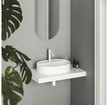 Moderná kúpeľňa s bielym umývadlom na doske, zrkadlom a rastlinou.