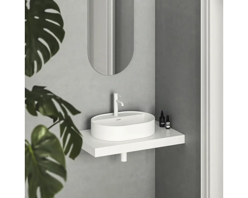 Moderná kúpeľňa s bielym umývadlom na doske, zrkadlom a rastlinou.