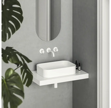 Moderná kúpeľňa s umývadlom na dosku, vodovodnou batériou, zrkadlom a rastlinou.