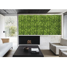 Obývacia izba so zelenou stenou, krbom a nábytkom