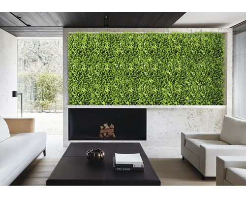 Obývacia izba so zelenou stenou, krbom a nábytkom