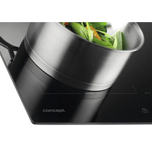 Čierna varná doska Concept s hrncom a zeleninou