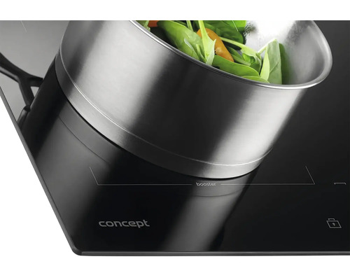 Čierna varná doska Concept s hrncom a zeleninou