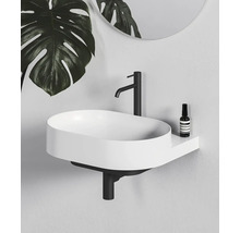 Moderné kúpeľňové umývadlo s čiernou armatúrou a rastlinami