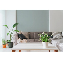 Obývacia izba so sivou pohovkou, ozdobnými vankúšmi, izbovými rastlinami a bielym stolom