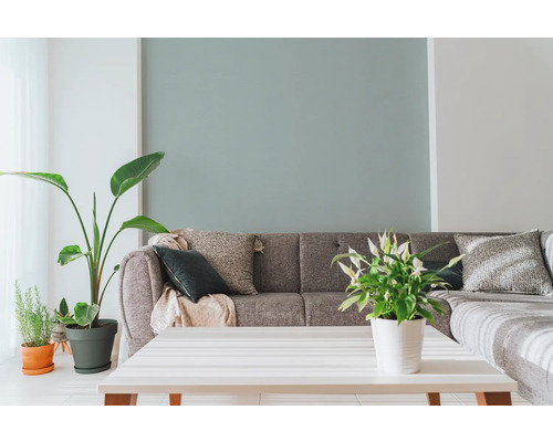 Obývacia izba so sivou pohovkou, ozdobnými vankúšmi, izbovými rastlinami a bielym stolom