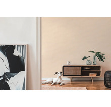 Obývacia izba s drevenou skriňou, dekoráciou, umeleckým dielom a psom na koberci.