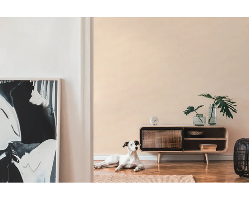 Obývacia izba s drevenou skriňou, dekoráciou, umeleckým dielom a psom na koberci.