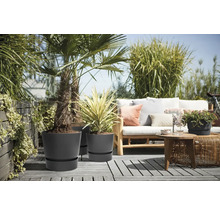 Terasa s rastlinami v sivých kvetináčoch a posedením