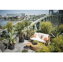 Strešná terasa s drevenou podlahou, lavica s vankúšmi, stolmi a rastliny pred oceľovým mostom.