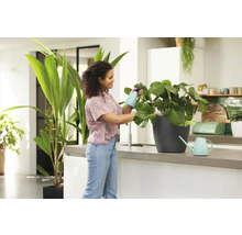 Žena zavlažuje izbovú rastlinu v kuchyni pomocou rozprašovača