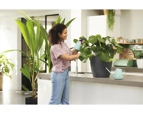 Žena zavlažuje izbovú rastlinu v kuchyni pomocou rozprašovača