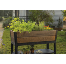 Vyvýšený záhon z dreva a kovu osadený rastlinami v záhrade.