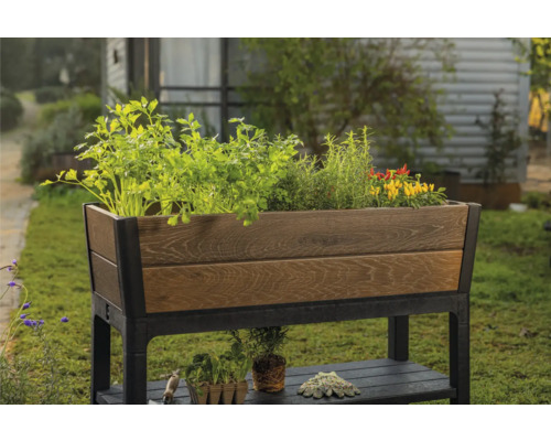 Vyvýšený záhon z dreva a kovu osadený rastlinami v záhrade.