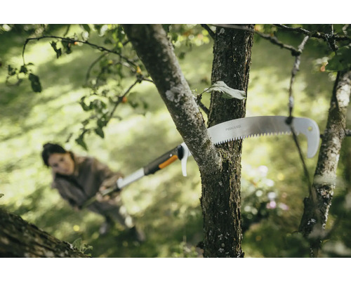 Žena pília konár konárovou pílou