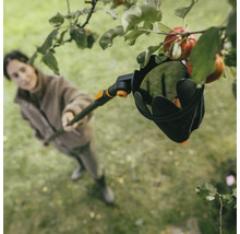 Žena zbiera jablká zo stromu pomocou zberača ovocia.