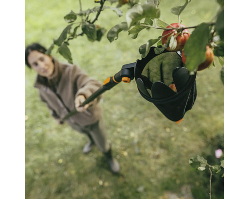 Žena zbiera jablká zo stromu pomocou zberača ovocia.