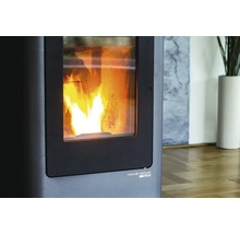 Detailný pohľad na kachle na pelety s horiacim ohňom za sklom a logom Haas und Sohn