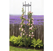 Kovová opora pre popínavé rastliny s ružami v záhrade