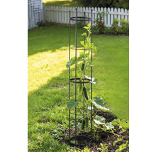 Záhradná scéna s podperou pre popínavé rastliny a uhorkou na záhone.