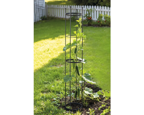 Záhradná scéna s podperou pre popínavé rastliny a uhorkou na záhone.