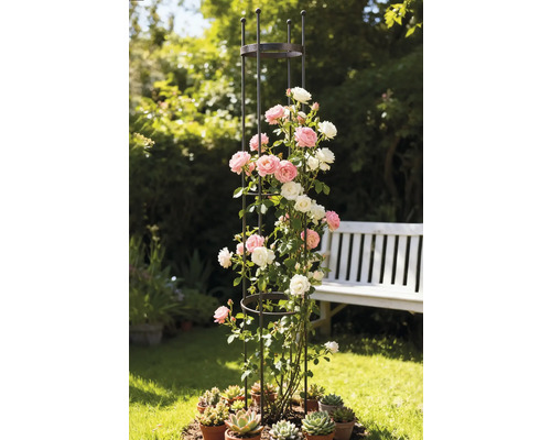 Kovová lezecká podpera s ružami a sukulentmi v záhrade