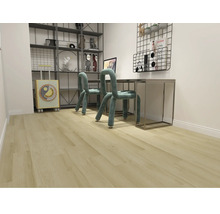 Izba so stolom, stoličkami a regálom