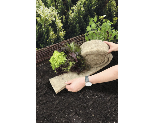 Zeleninová záhrada so sadenicami šalátu a rolou rastlinnej rohože z prírodných vlákien na zemi.