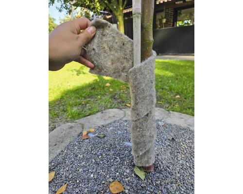 Ochrana kmeňa stromu z plsti obalená okolo stromu