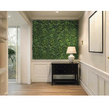 Chodba s rastlinnou stenou, komodou a lampou