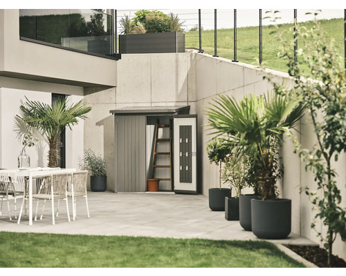 Záhradná scéna s kôlňou na náradie, terasovým nábytkom a rastlinami