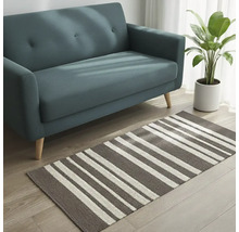 Scéna s pohovkou, izbovou rastlinou a pruhovaným kobercom