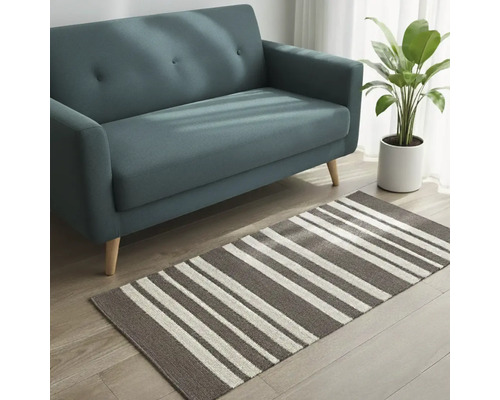 Scéna s pohovkou, izbovou rastlinou a pruhovaným kobercom