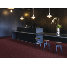 Recepcia s tmavým pultom, stojacími lampami a kobercom