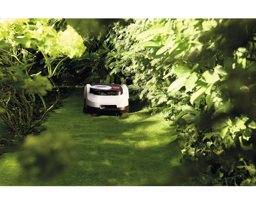 Robotická kosačka na trávu v zelenej záhrade