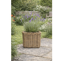 Levanduľa v štvorcovom ratanovom kvetináči na kamennej terase v záhrade.