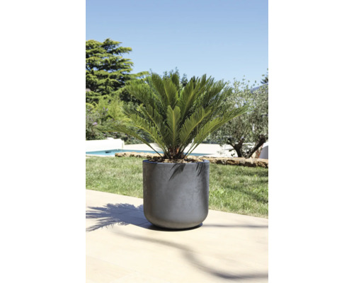 Kvetináč s okrasnou rastlinou vonku