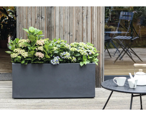 Kvetináč s hortenziami na terase