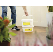 Dve vedrá farby proti plesniam Abamal nesie osoba.