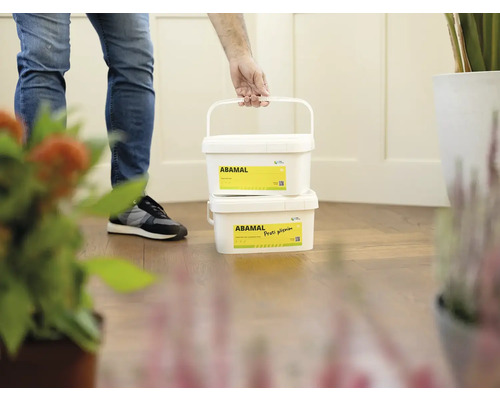 Dve vedrá farby proti plesniam Abamal nesie osoba.