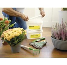 Scéna s prípravkami proti plesniam Abamal Proti plísním, záhradným náradím a izbovými rastlinami na drevenej podlahe