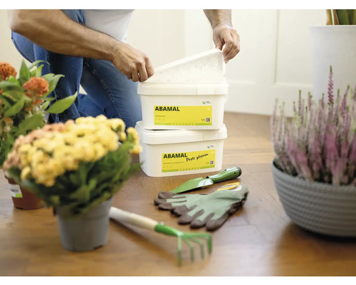 Scéna s prípravkami proti plesniam Abamal Proti plísním, záhradným náradím a izbovými rastlinami na drevenej podlahe