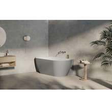 Moderná kúpeľňa s voľne stojacou vaňou, umývadlom a izbovou rastlinou